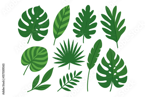 Tropical Leaves Collection. Exotic Jungle Foliage Set. Monstera, Palm, Banana, Philodendron, Fern, Botanical Greenery. Nature Elements. Flat Vector Illustration. Decorative Plant Leaf Design