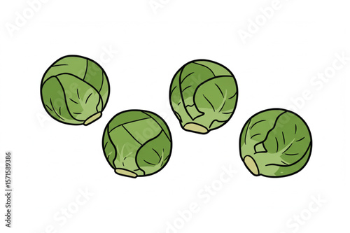 Delightful brussels sprouts graphic is great for menu design and healthy eating campaigns, perfect for print or digital creative projects.