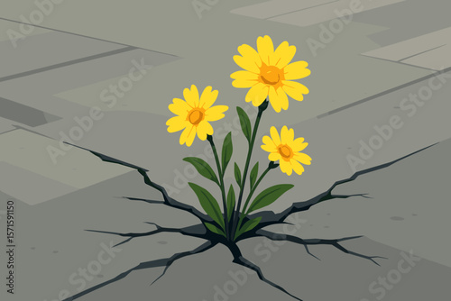 Resilient Yellow Daisies Blooming Through Cracked Urban Pavement, Survival Nature Concept, Hope, Perseverance, Modern Vector Illustration, No Text, City Street