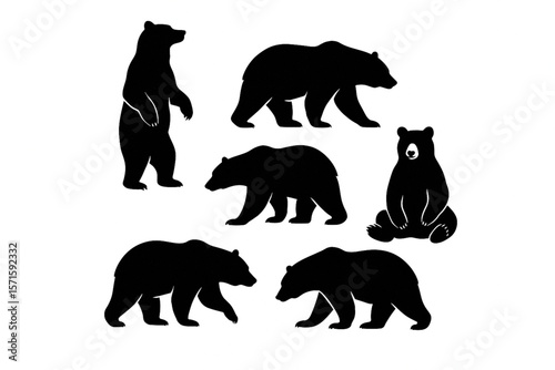 Bear Silhouette Vector Set with Various Poses – Standing, Walking, Sitting for Wildlife and Nature Designs on White Background