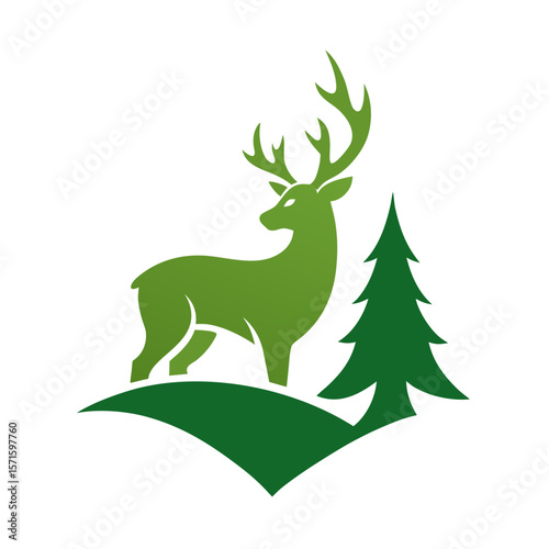deer in the forest