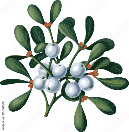 Festive mistletoe holly and ivy wreath with traditional christmas colors