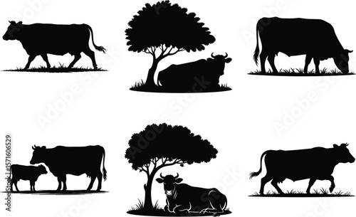 Cow Silhouette Bundle, Dairy Cow Vector Art isolated on a White Background. Jumping Cow SVG graphic illustration.