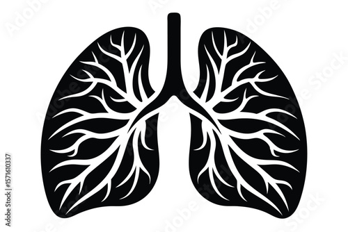 Black and White Illustration of Anatomical Human Lungs with Trachea and Bronchial Tree
