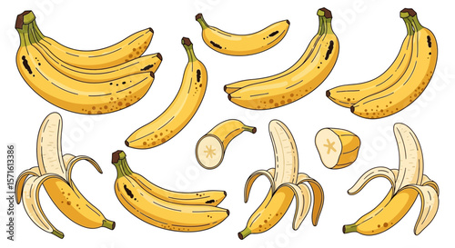 Collection of various bananas, whole and sliced, displayed against a white background.