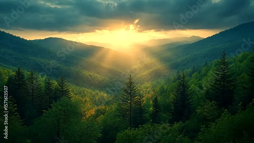 Majestic Sunrise Over Forest Mountains, Nature Scenery Background Video