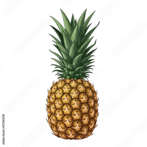 A vibrant illustration of a ripe pineapple, showcasing its textured skin and spiky crown against a clean white background.