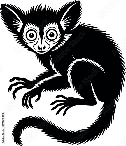 Aye-Ayes silhouette on white background