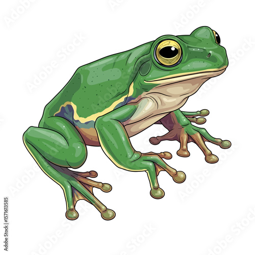 A vibrant, detailed illustration of a green frog, showcasing its features.