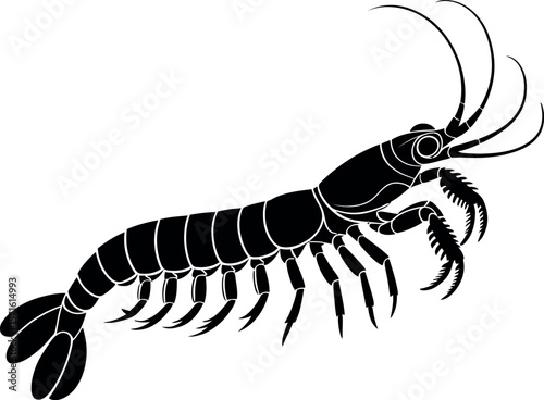 Mantis Shrimp silhouette on white background