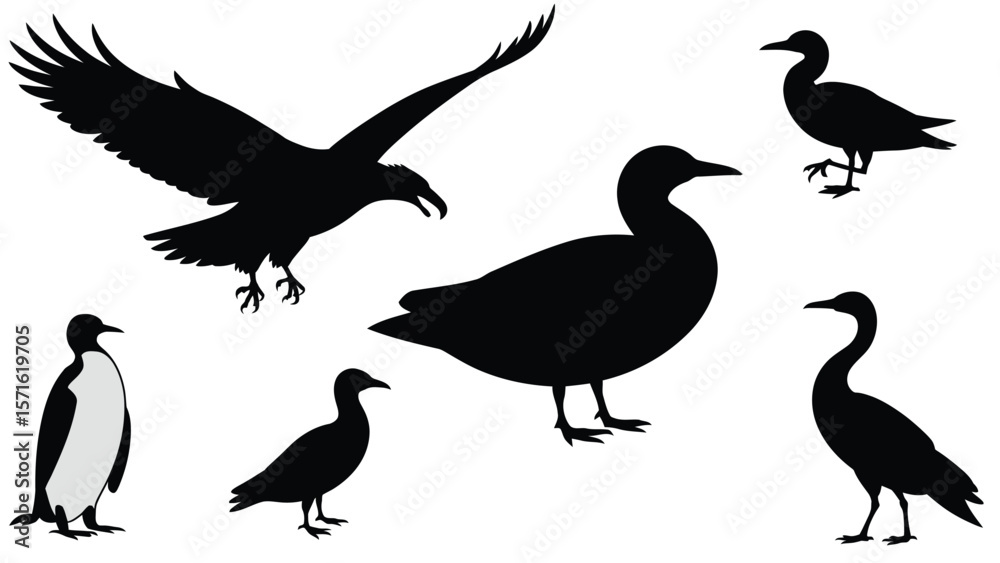 Fototapeta premium Silhouette of birds flying and landing, set of penguin, duck, eagle