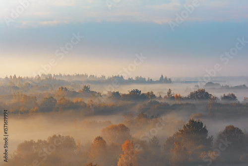 Fototapeta Naklejka Na Ścianę i Meble -  Autumn forest landscape with morning fog. High angle. Air view