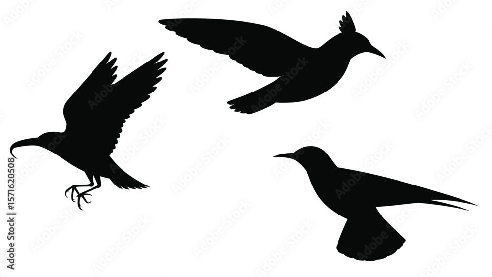 Fototapeta premium Flying and Perched Bird Silhouette Set. Stylized Vector Wildlife