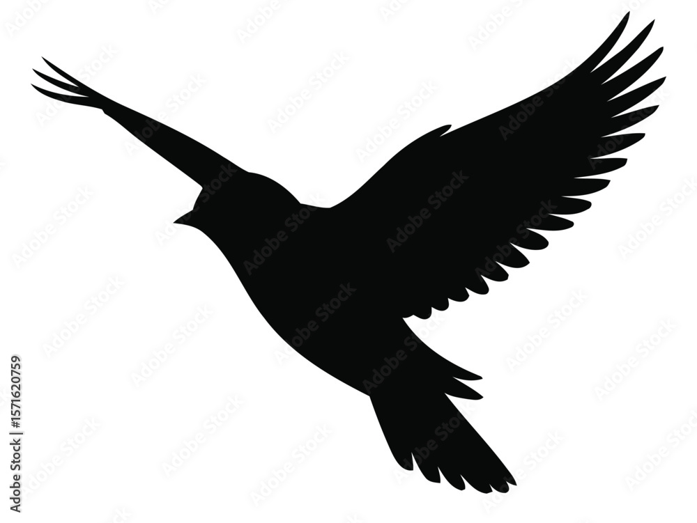 Obraz premium black bird silhouette flying on white background