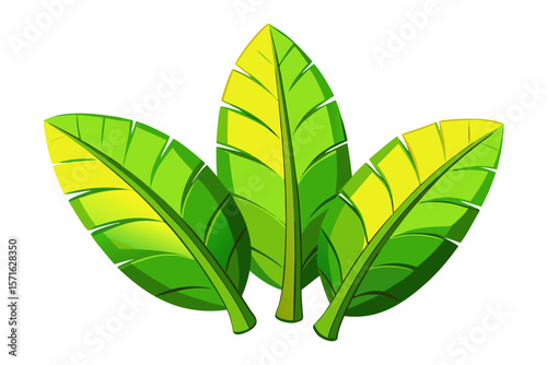 tropical leaves illustration with green yellow gradient botanical design isolated on white background.