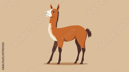 Graceful Llama Standing on Hind Legs in Simple Flat Vector Style