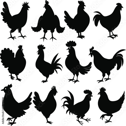Hen silhouette bundle vector A collection of 12 black silhouettes in various poses, including jumping, standing, sitting. Each silhouette is clean and minimal,contrast, no details inside the shapes, 
