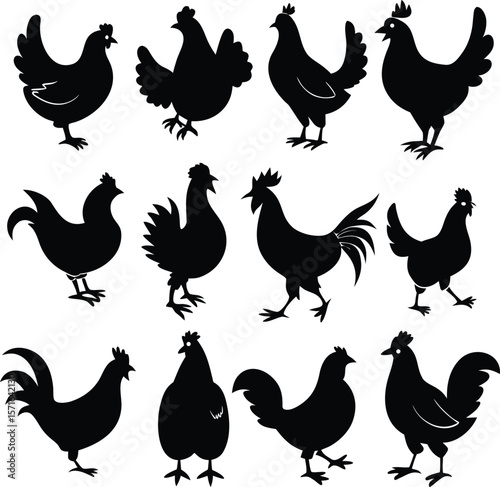 Hen silhouette bundle vector A collection of 12 black silhouettes in various poses, including jumping, standing, sitting. Each silhouette is clean and minimal,contrast, no details inside the shapes, 