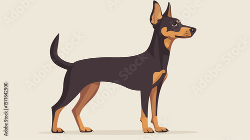 Elegant Standing Pinscher Dog Illustration in Simple Flat Design
