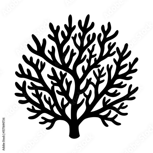 Coral clipart on a white background vector illustration
