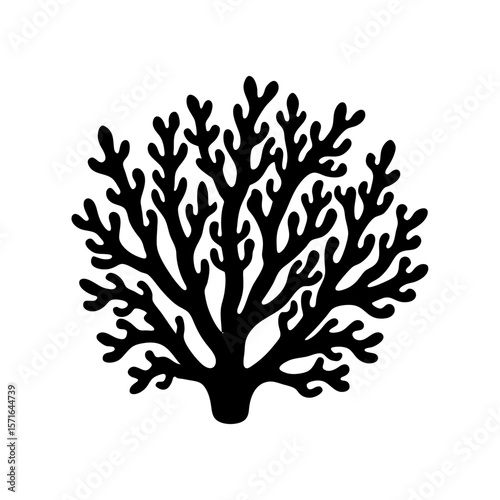 Coral clipart on a white background 1 vector illustration