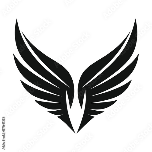 Elegant black and white wings spread out in a symmetrical design, symbolizing freedom and flight