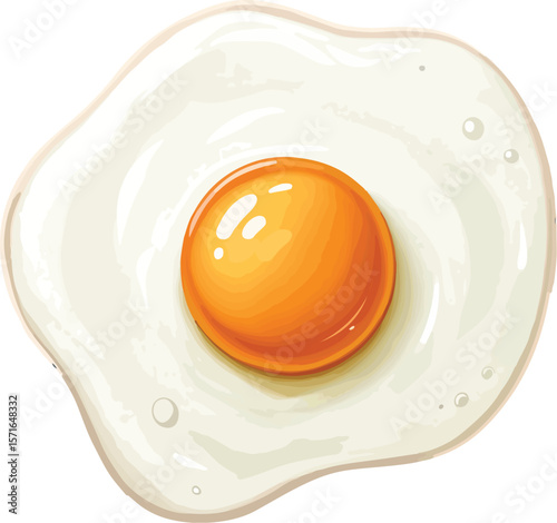 fried egg on a white background