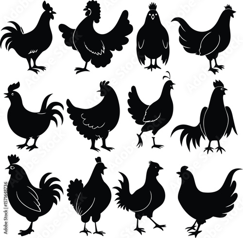 Hen silhouette bundle vector A collection of 12 black silhouettes in various poses, including jumping, standing, sitting. Each silhouette is clean and minimal,contrast, no details inside the shapes, 