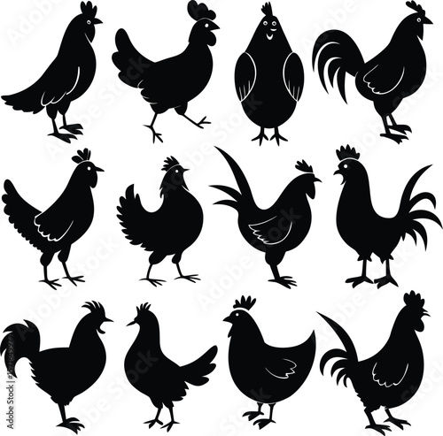Hen silhouette bundle vector A collection of 12 black silhouettes in various poses, including jumping, standing, sitting. Each silhouette is clean and minimal,contrast, no details inside the shapes, 