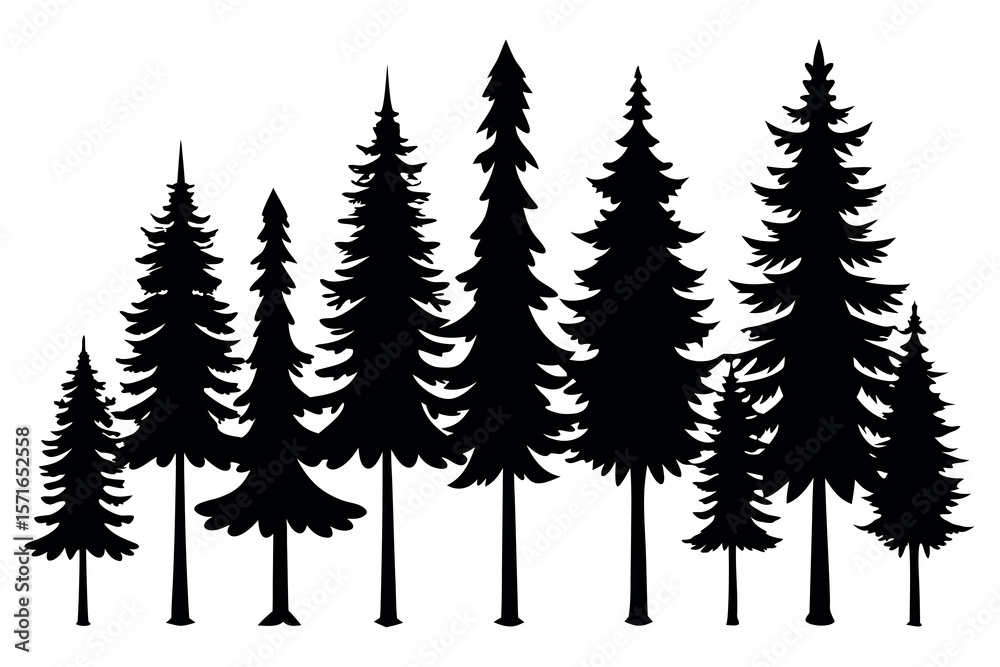 Fototapeta premium Black Vector Silhouette Set of Evergreen Pine Trees in Forest Landscape – Seasonal Nature Illustration