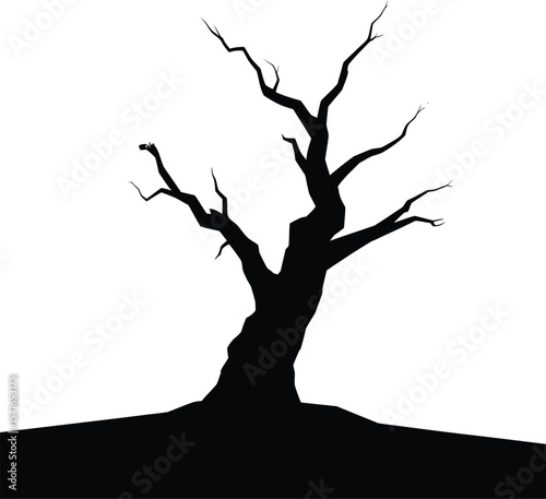Black silhouette of a dead leafless tree on white background 