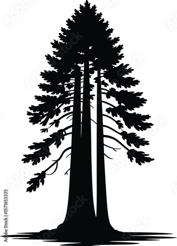 Black silhouette of a giant redwood tree on white background