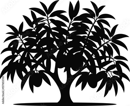 Black silhouette of a mango tree with dense foliage on white background 