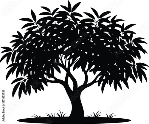 Black silhouette of a mango tree with dense foliage on white background