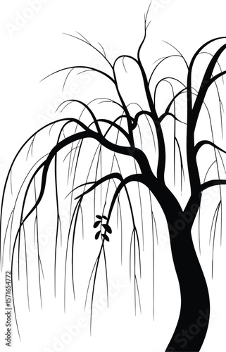Black silhouette of a weeping willow tree on white background