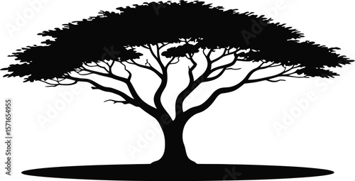 Black silhouette of an acacia tree with flat canopy on white background