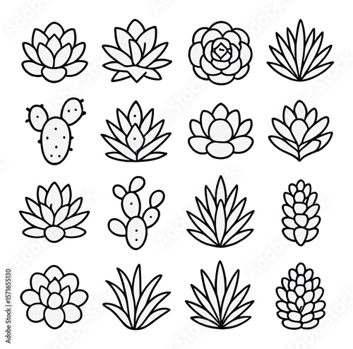 Succulent set. cactus and plant silhouette icons. aloe, agave, rosette, prickly pear vector icons.