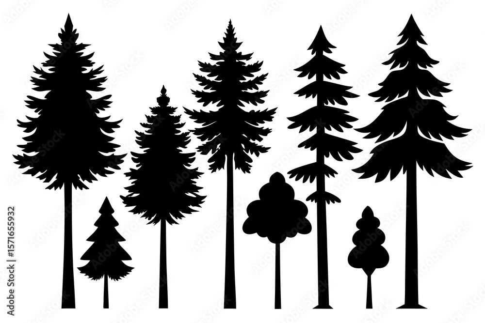 Fototapeta premium Pine Tree Silhouette Collection Isolated on White Background – Vector Set 