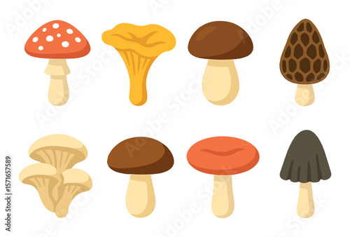 Mushroom set. minimalist silhouette mushrooms. fungus, toadstool, chanterelle, morel vector icons.