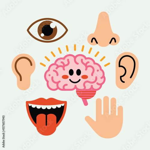 Cute cartoon brain with sensory organs for learning and perception