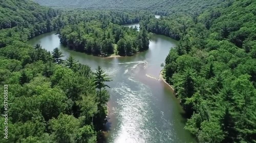 Aerial View of Serene River Bending Through Lush Green Forest
