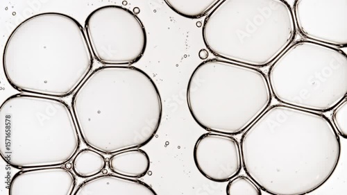 Bubble cluster transparent, cells under a microscope on white background. Gel texture with bubbles, skin care product. Macro Shot of Natural Organic Cosmetics, Medicine. High quality 4k footage
