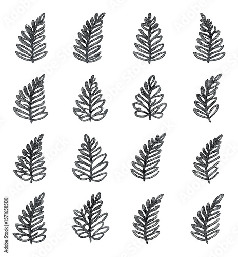 Fern leaf set. botanical simple ferns. leaf, plant, nature, frond, foliage vector icons.