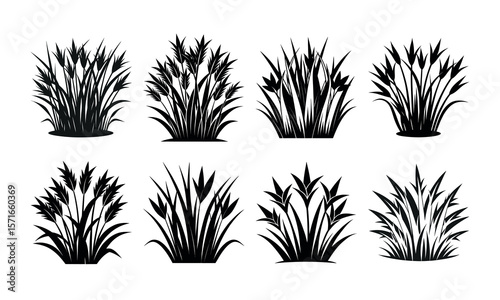 Collection of diverse black reed grass and tall ornamental grass clump silhouettes for natural landscape design