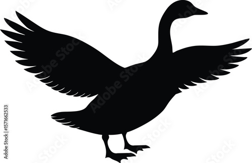 A goose flapping its wings with slight openness in dynamic motion silhouette Vector
