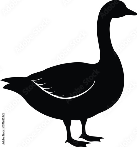 A goose looking backward with slightly raised tail and angled body silhouette Vector