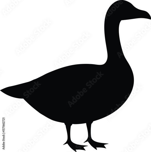 A goose standing calmly with its neck tucked inward in resting posture silhouette Vector