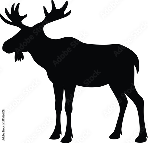 A moose standing alert with slightly raised tail and upright head position silhouette Vector