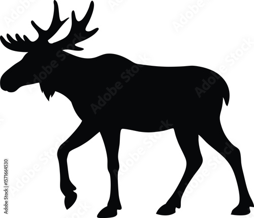 A moose walking slowly with one raised front leg and relaxed body silhouette Vector