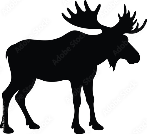 A moose with lowered head and legs spread wide in defensive stance silhouette Vector